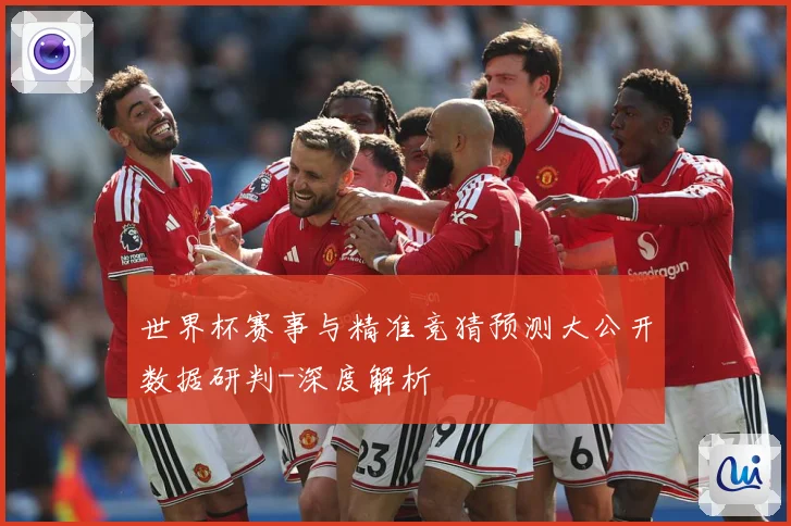 世界杯赛事与精准竞猜预测大公开数据研判-深度解析